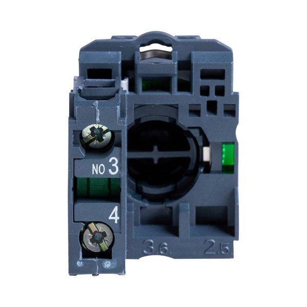 back view of button